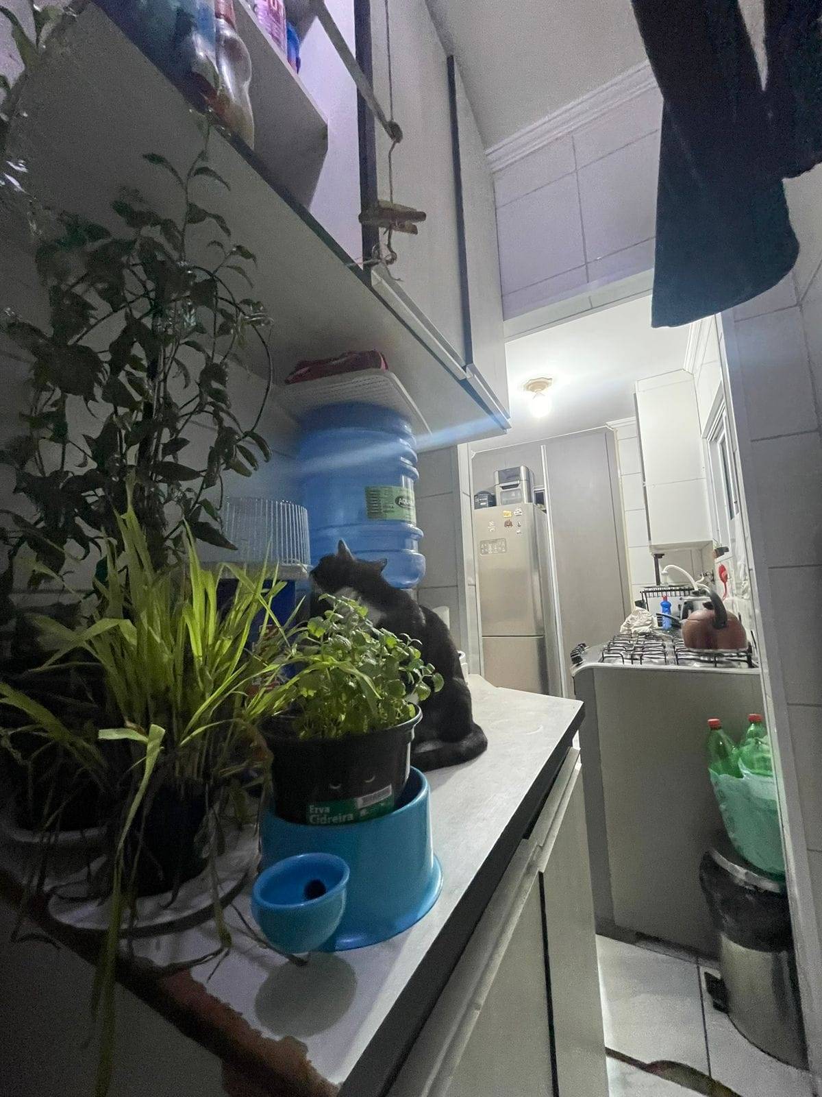 Apartamento, 2 quartos, 51 m² - Foto 12