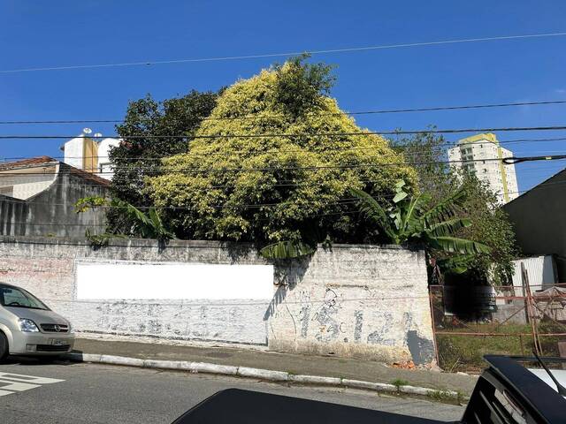 #TE3152 - Terreno para Venda em São Caetano do Sul - SP - 3