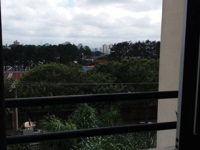 #AP3341 - Apartamento para Venda em São Bernardo do Campo - SP - 2
