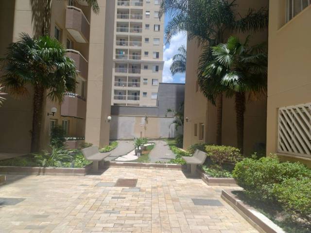 #AP3980 - Apartamento para Venda em São Bernardo do Campo - SP - 2